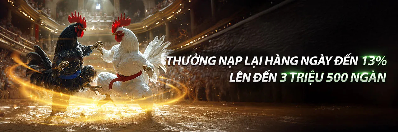 Chương trình VIP độc quyền hn88 trang chủ chính thức